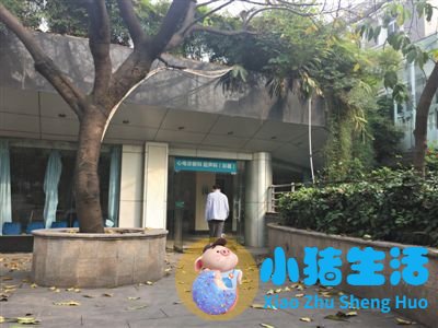重庆“七天短命医改” 幕后原因揭秘