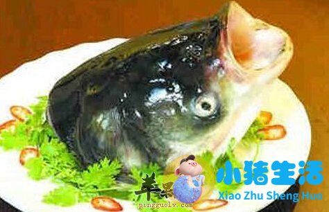 【鱼头】