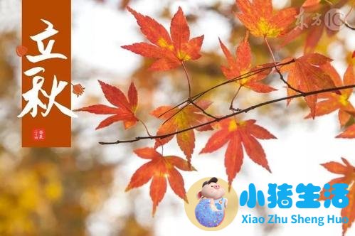秋季养生知识短信