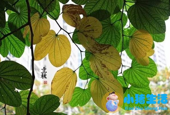 秋季养生知识短信