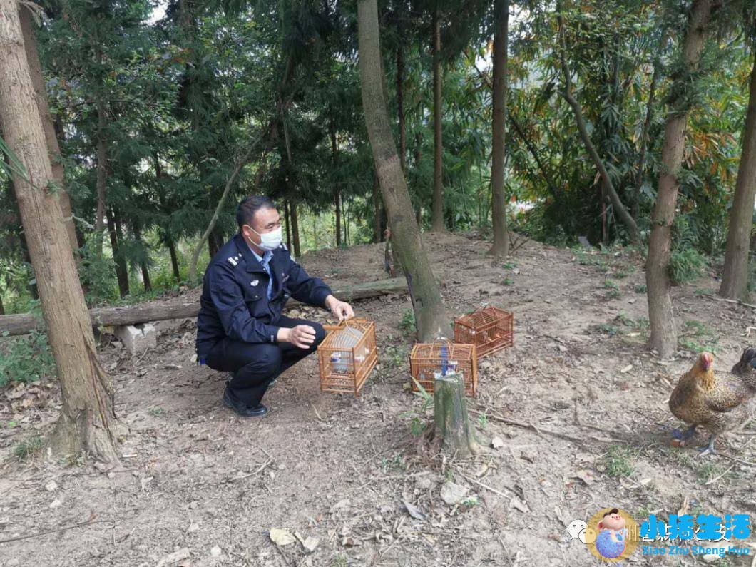 怀孕那晚梦见蛇缠身还梦到发夹