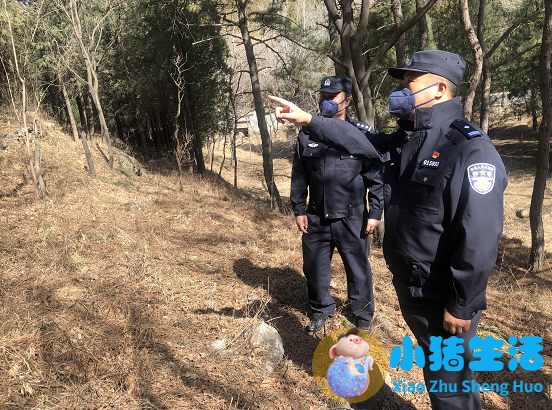 怀孕那晚梦见蛇缠身还梦到发夹
