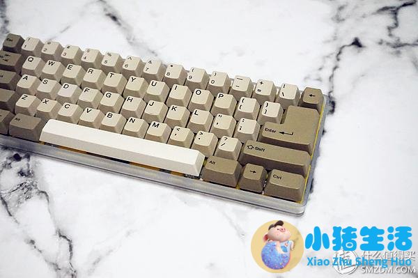 怀孕那晚梦见蛇缠身还梦到发夹