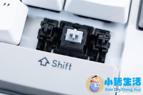 怀孕那晚梦见蛇缠身还梦到发夹