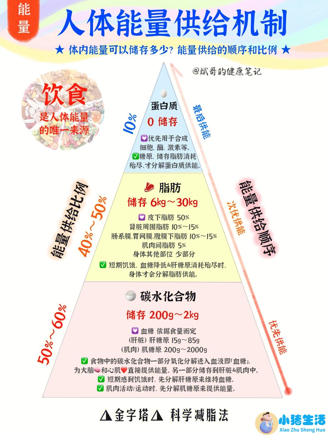 饮食减肥最快的秘诀