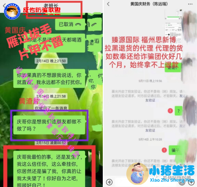 微信艾薇丰胸骗局揭秘
