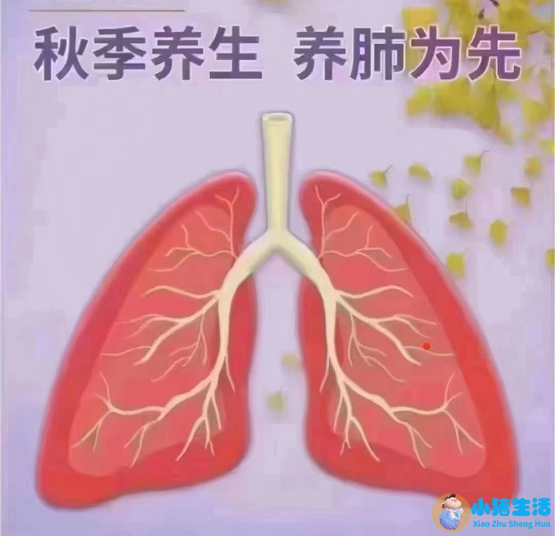 秋季养生知识短信