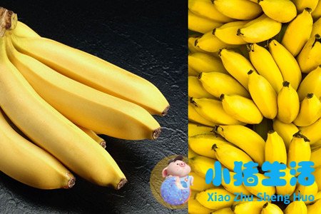 饮食减肥计划表