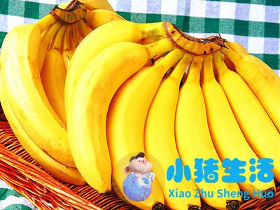 饮食减肥计划表