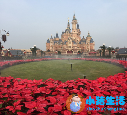 上海国际旅游度假区结构规划图