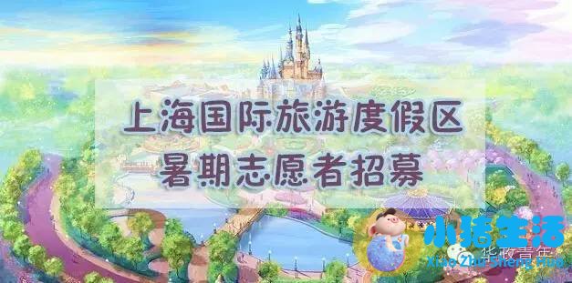 【招募】上海国际旅游度假区面向华政招