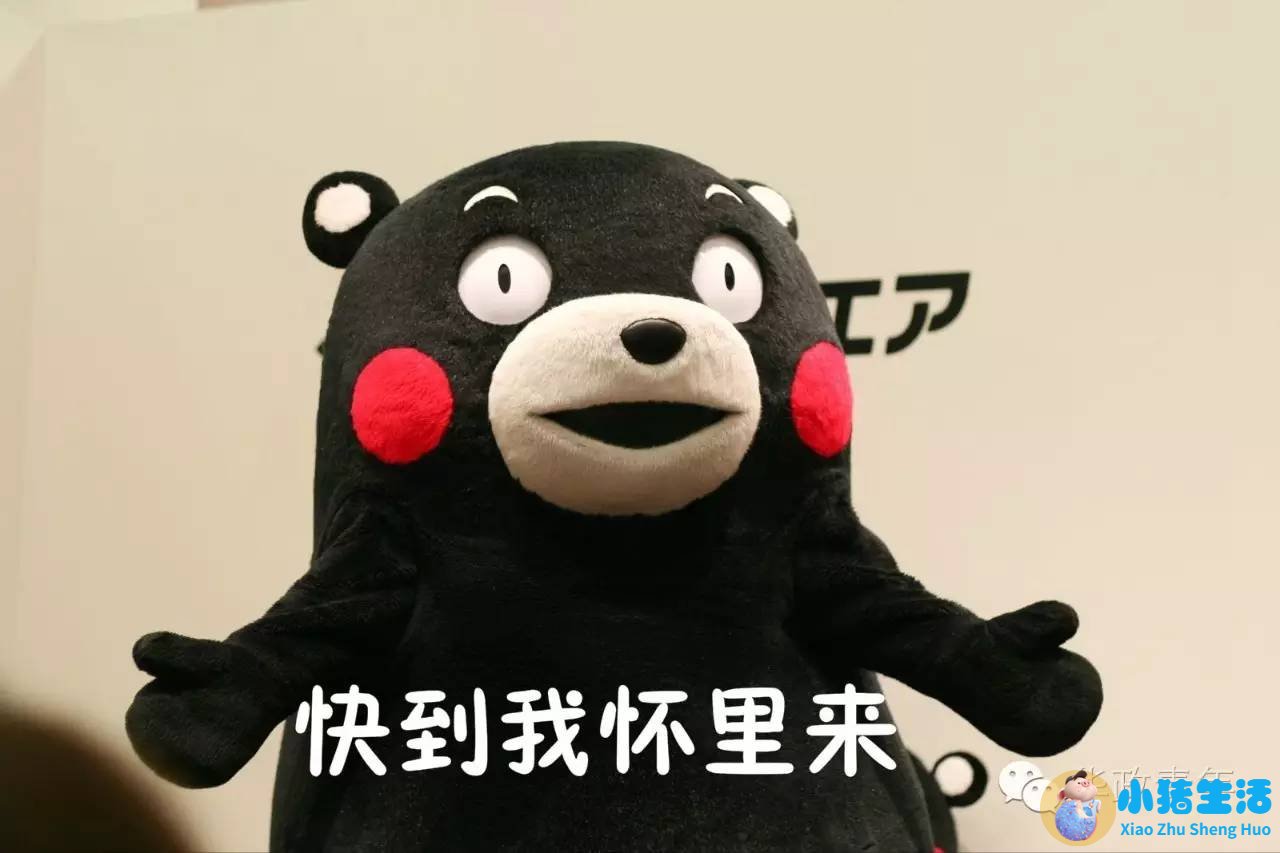 上海国际旅游度假区结构规划图