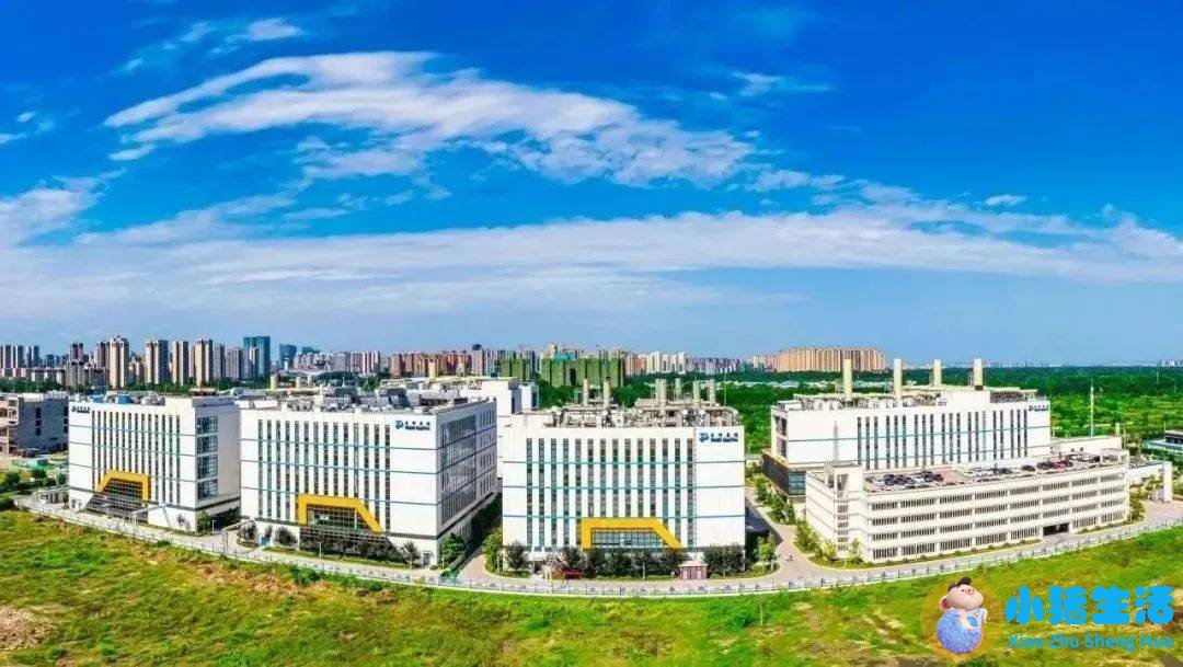 成都国际医学城新闻