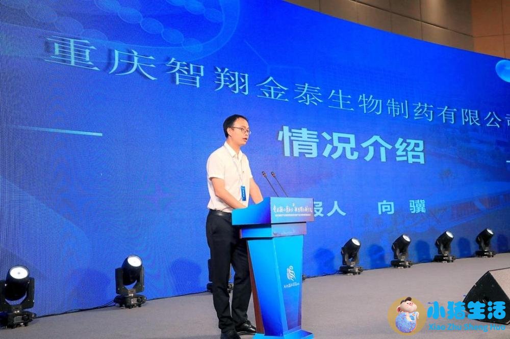 成都国际医学城新闻