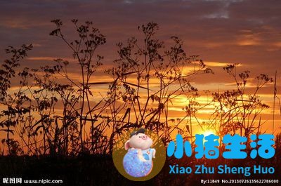 33句表扬老男人有魅力的话