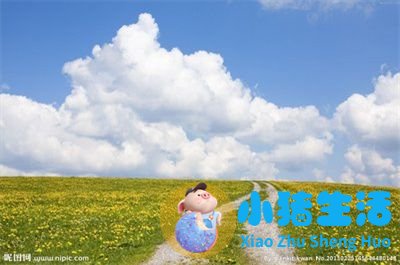 文章插图
