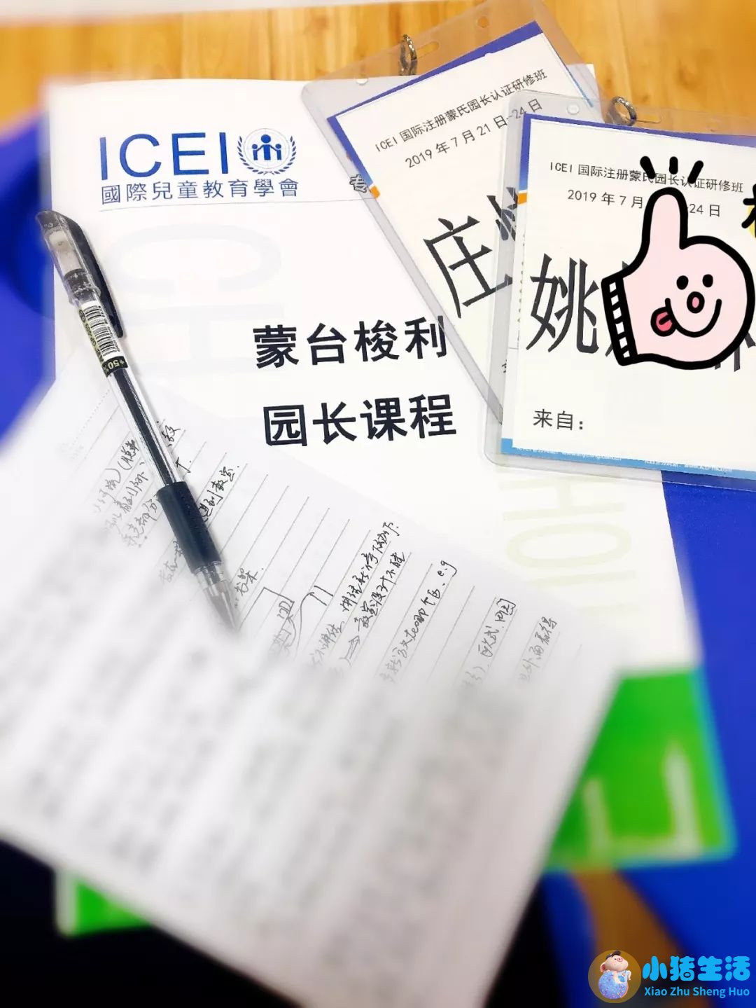 0-3岁婴幼儿早期教育家长指导