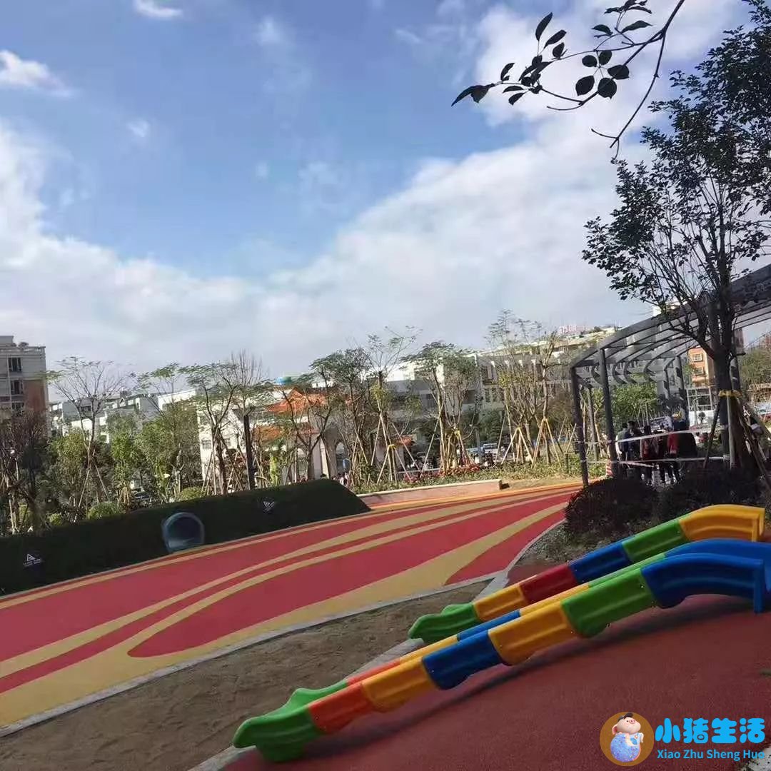 0-3岁婴幼儿早期教育家长指导