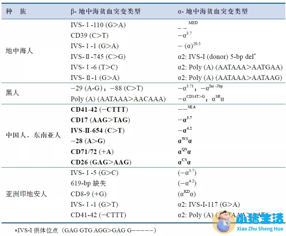 怀孕初筛地中海贫血异常