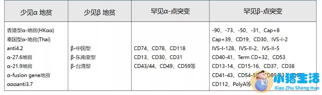 怀孕初筛地中海贫血异常