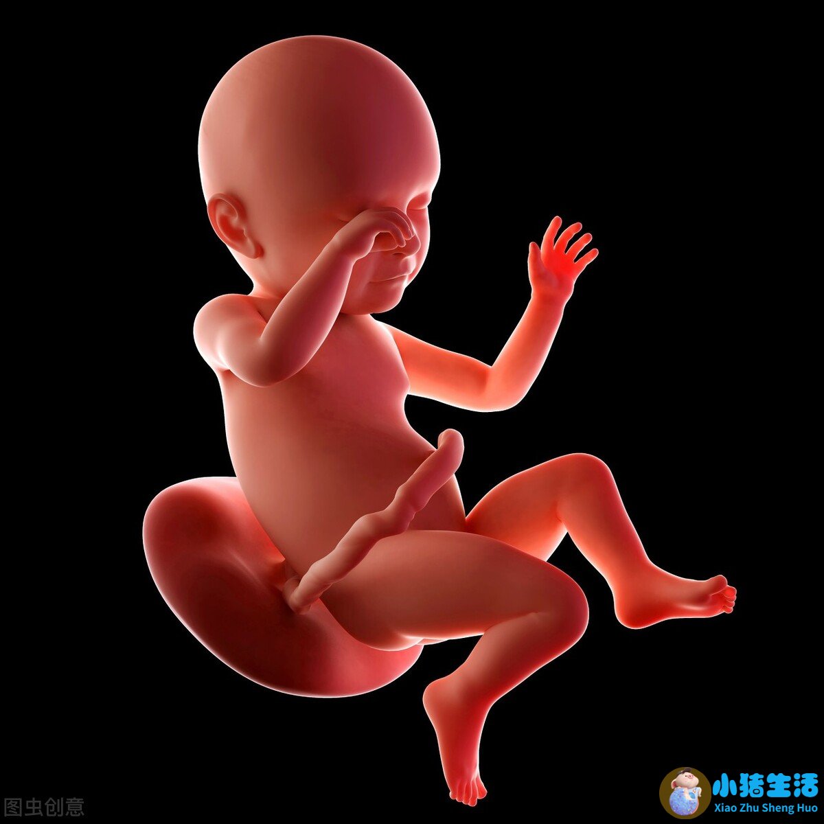0-3岁婴幼儿早期教育家长指导