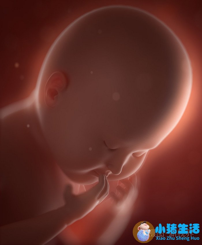 0-3岁婴幼儿早期教育家长指导