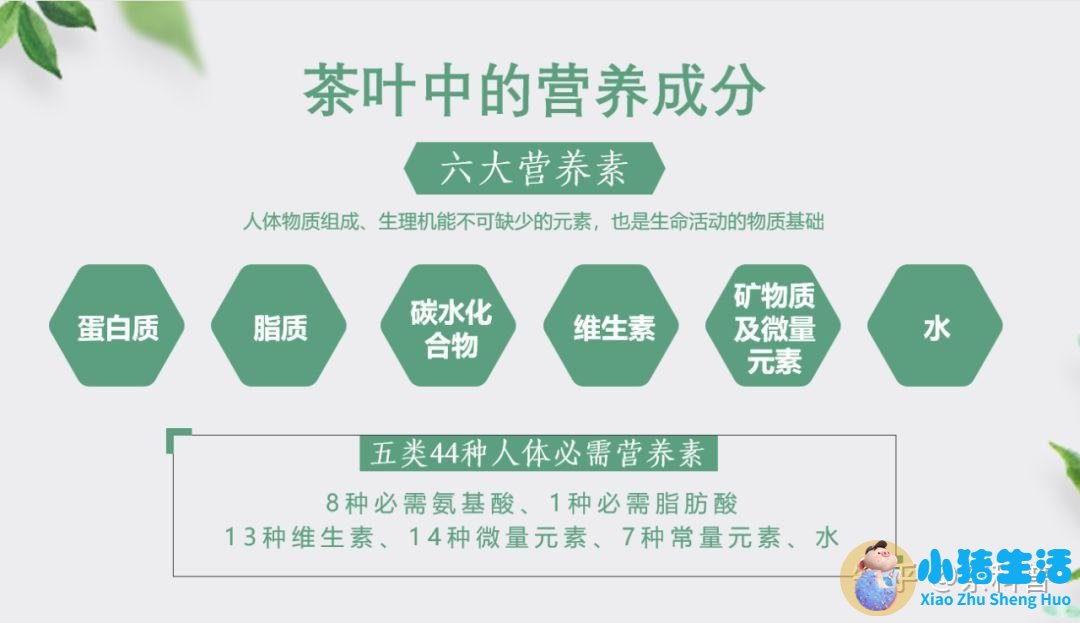 女性滋补养生食品