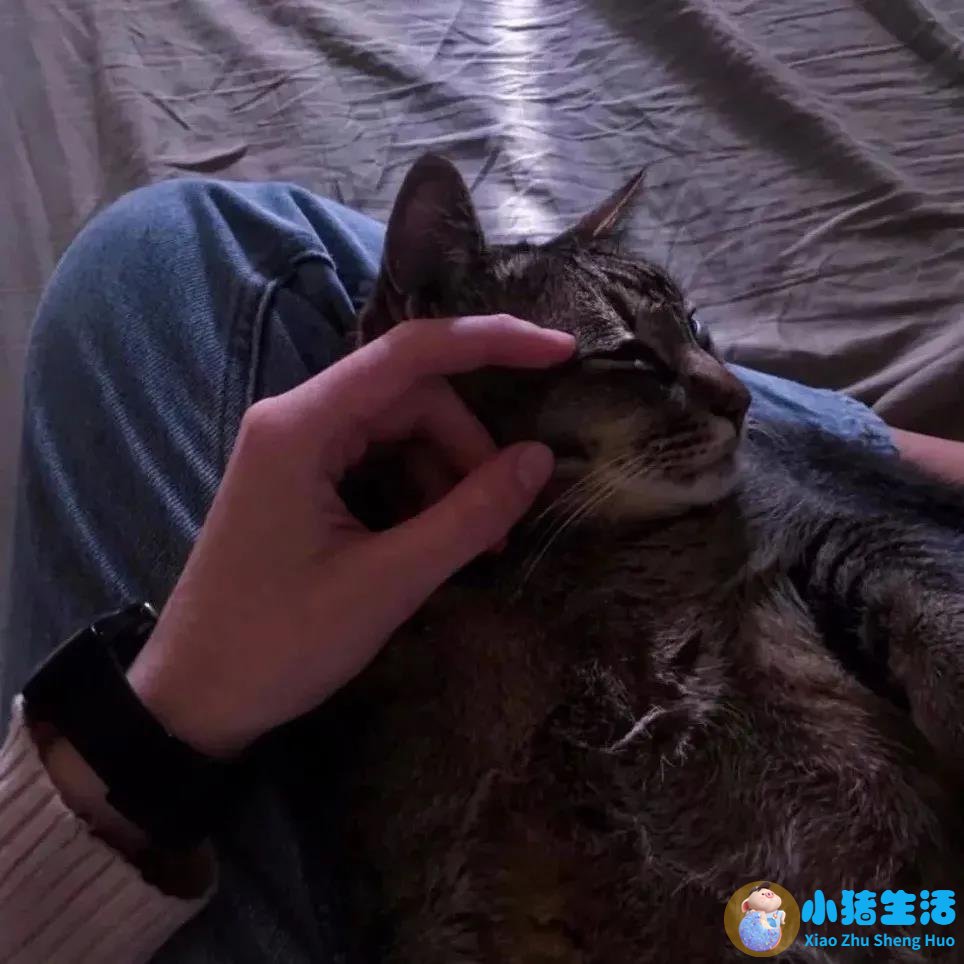 高情商发圈被秒赞的句子