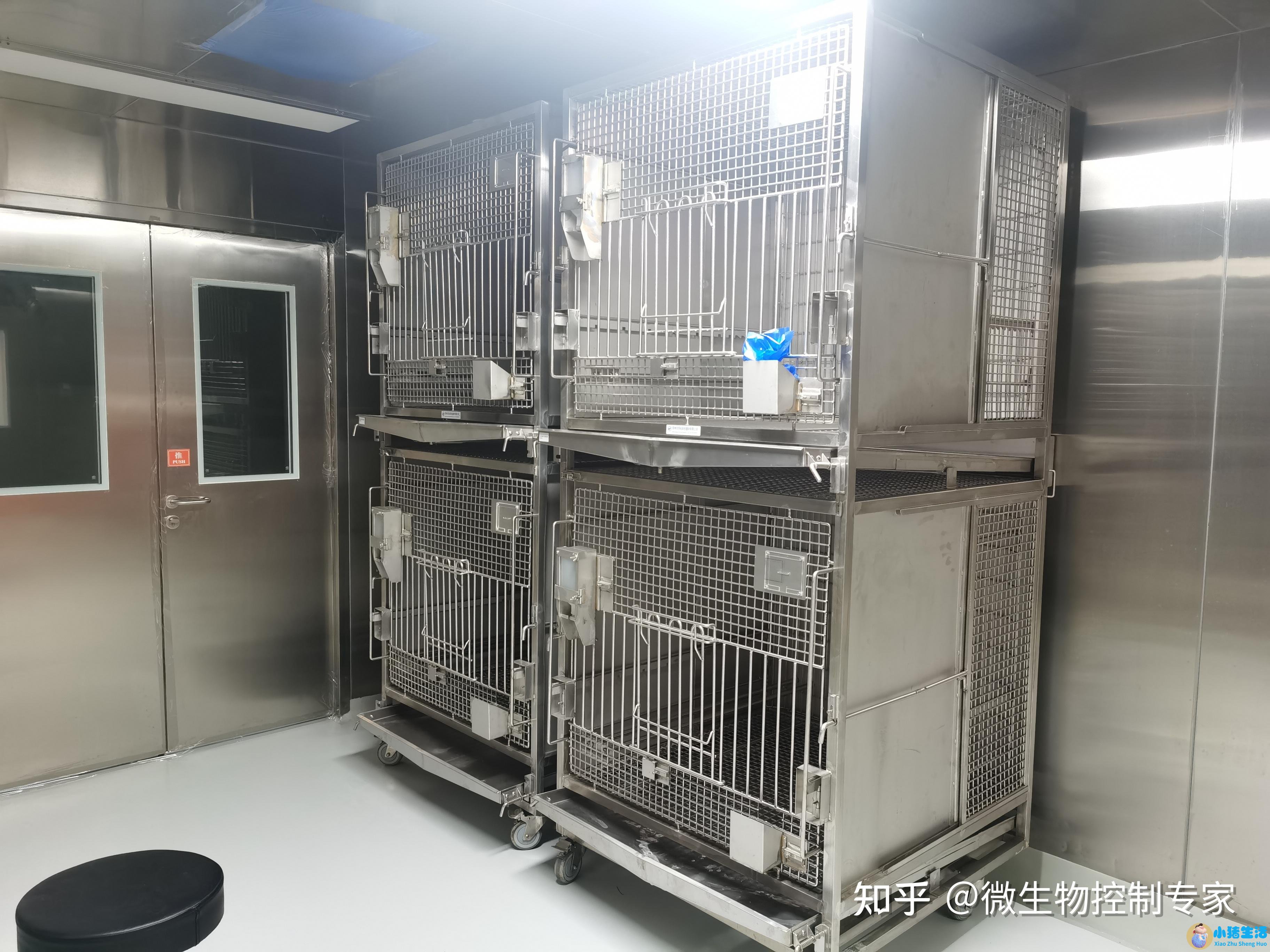 重庆科学减肥机构排名