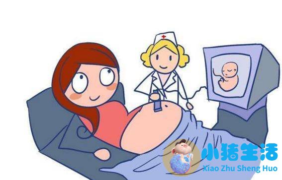孕晚期胎儿腿长是女孩