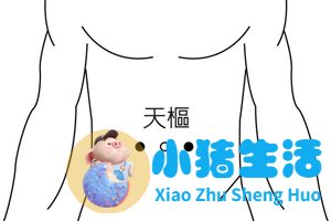 针灸局部减肥