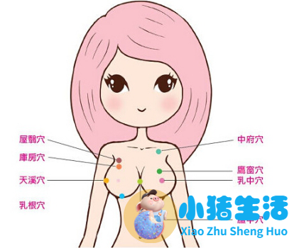 自己在家怎么按摩丰胸 丰胸按摩手法图解
