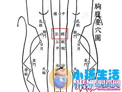 针灸局部减肥
