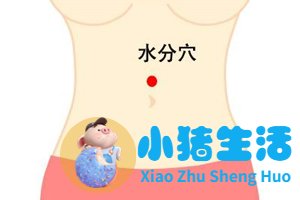 针灸局部减肥