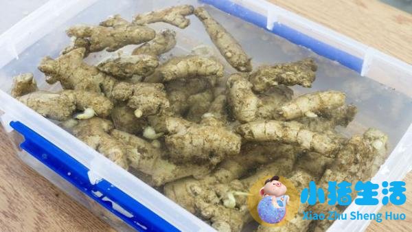 纯手工怀姜糖膏价格表