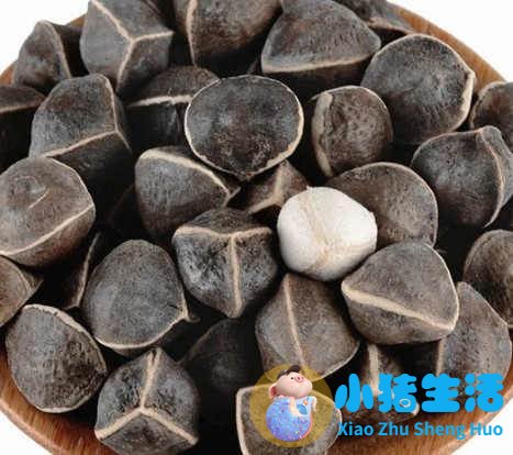 辣木籽价格多少钱一斤