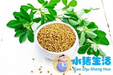 辣木籽价格多少钱一斤