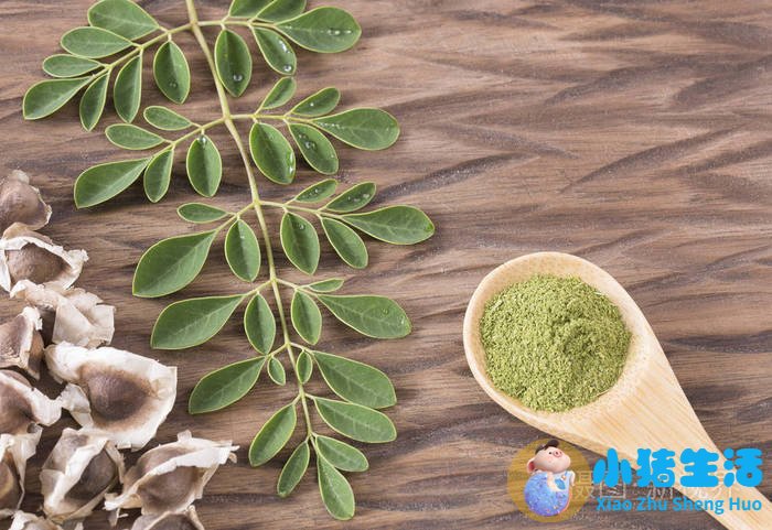 辣木籽价格多少钱一斤