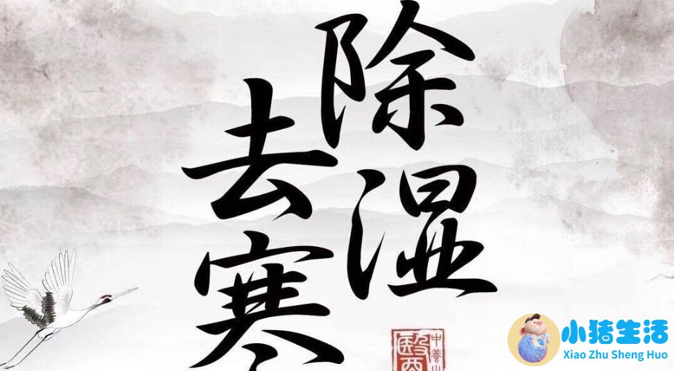 气虚湿盛体质受邪后多从