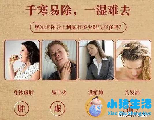 气虚湿盛体质受邪后多从