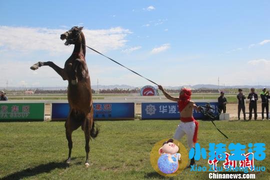 2019新疆库尔勒香梨节·速度赛马系列赛火