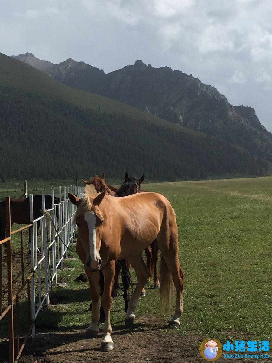 库尔勒旅游集散中心