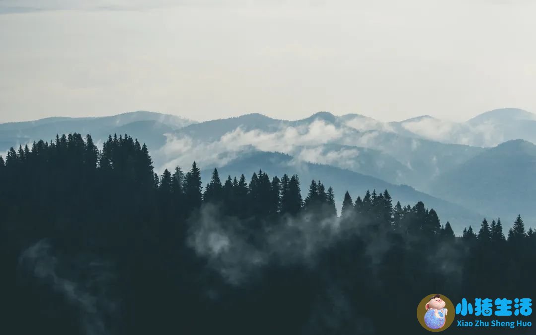 高情商高