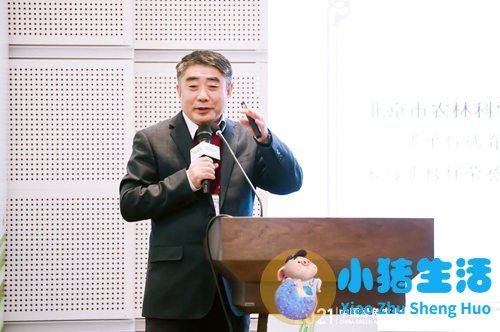 acmetea荣获中国绿色健康食品