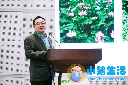 acmetea荣获中国绿色健康食品