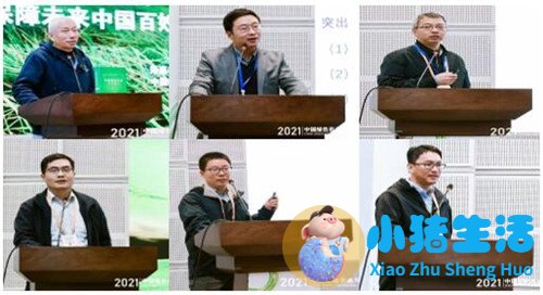 acmetea荣获中国绿色健康食品