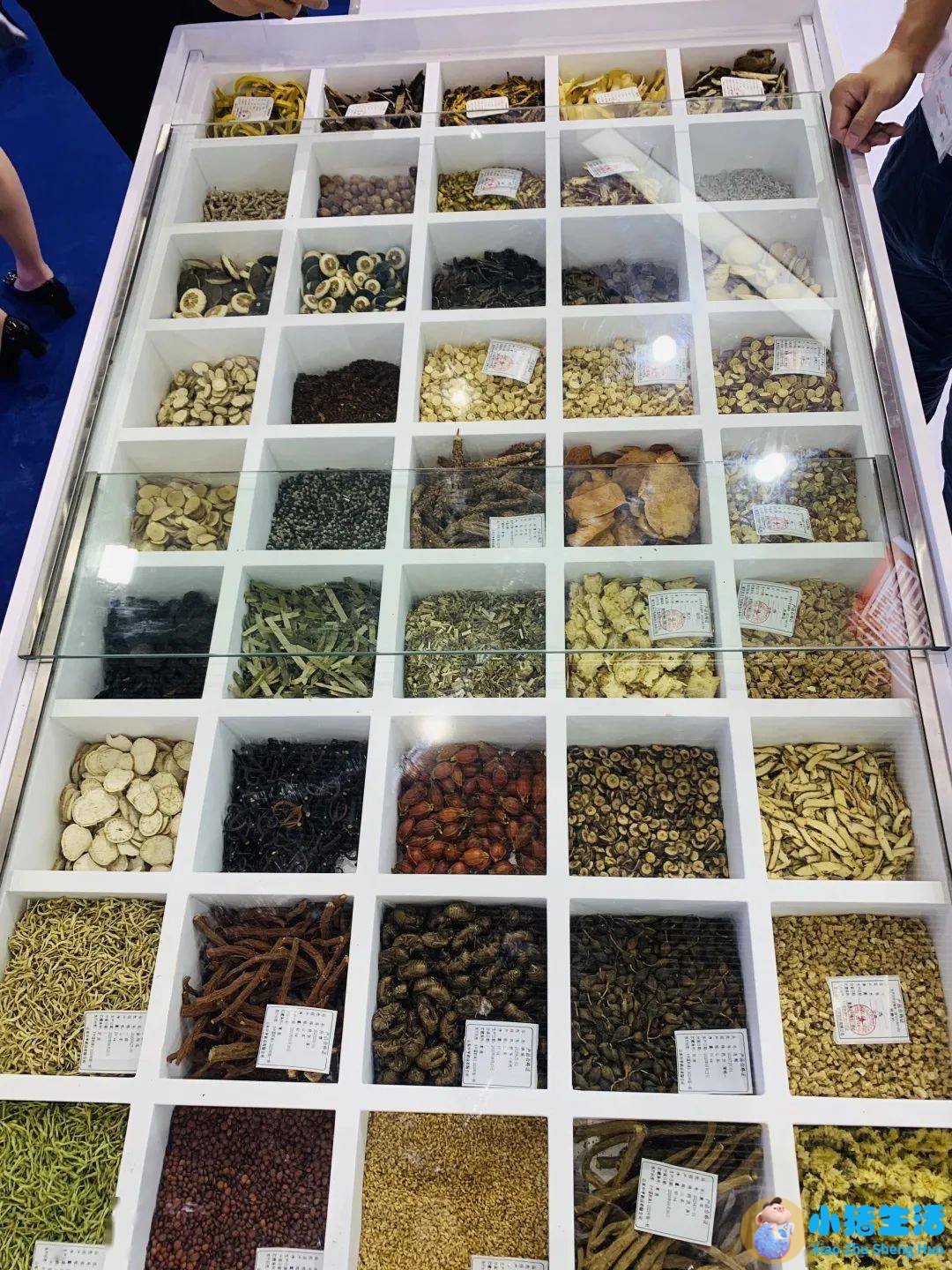 acmetea荣获中国绿色健康食品