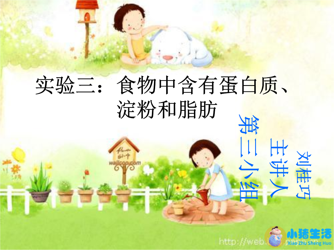 四年级下册科学健康饮食