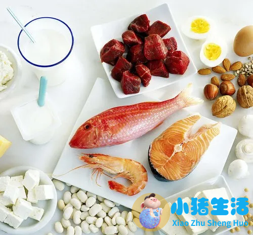 四年级下册科学健康饮食