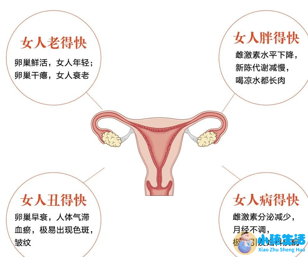 女性养生文章